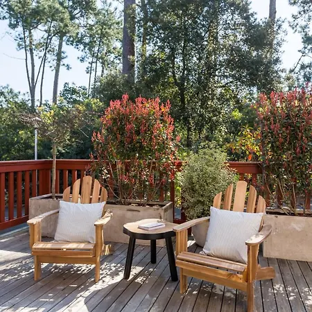 Havre De Paix Sous Les Pins, Au Coeur Des Abatilles, Avec Sa Superbe Terrasse Apartment Arcachon